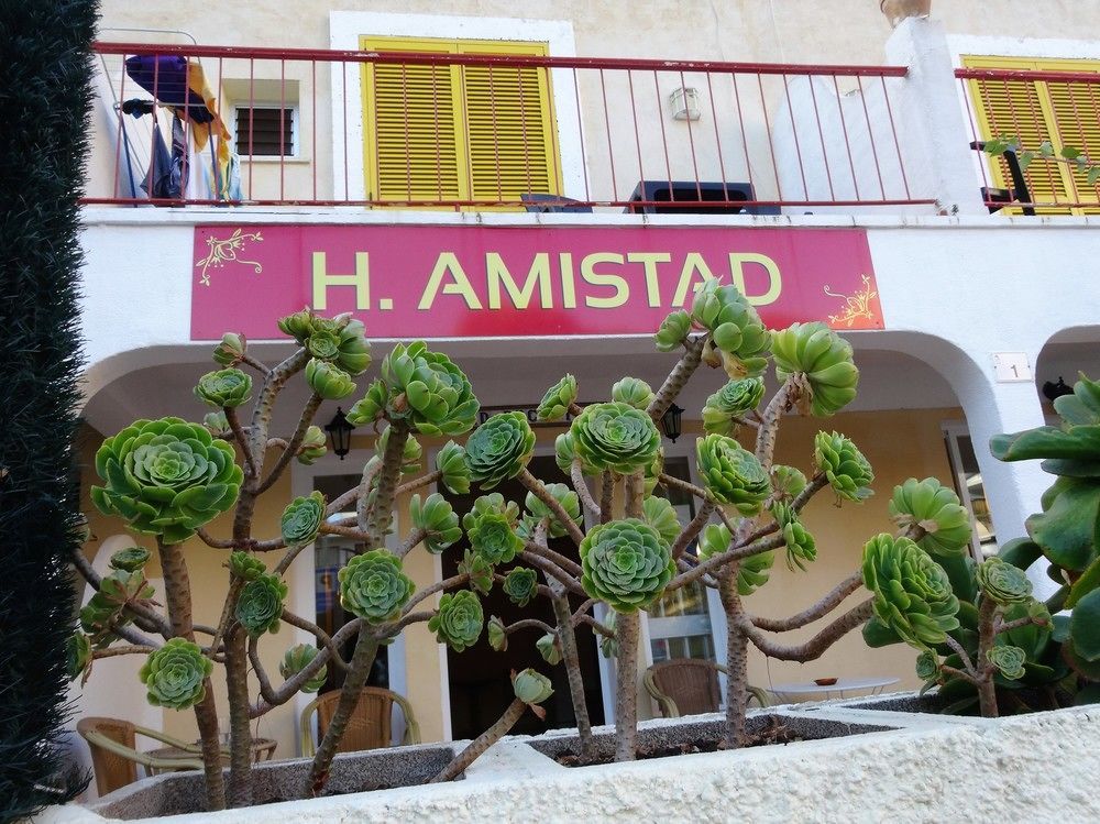 Flor Amistad Peguera Extérieur photo